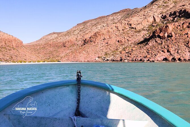 Private Tour to Isla Espiritu Santo and snorkel with sea lions - The Sum Up: Who Will Love This Tour?