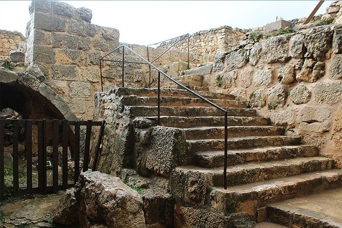 Private Tour to Jerash and Ajloun From Dead Sea - Good To Know