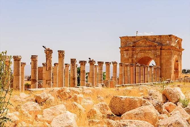Private Tour to Jerash and Ajloun From Dead Sea - Itinerary