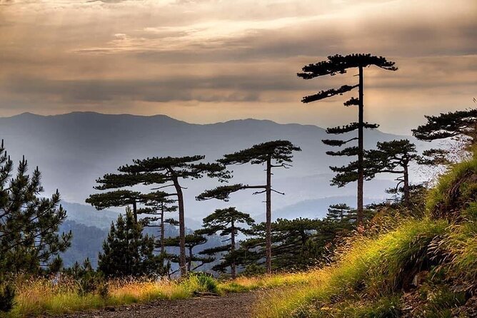 Private Tour to Konjuh : Relaxation in a Protected Landscape - Cancellation Policy
