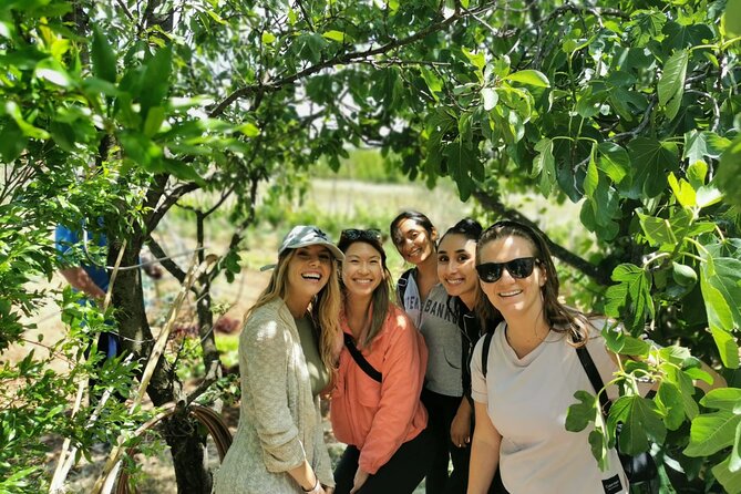 Private Tour to Krka Waterfalls- Lunch Included - Reviews and Pricing