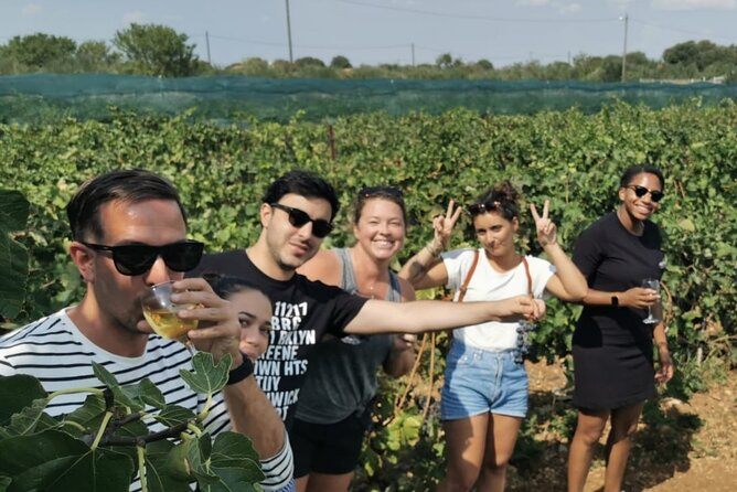 Private Tour to Krka Waterfalls- Lunch Included - The Sum Up