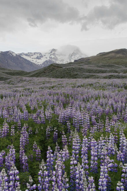Private Tour to Landmannalaugar. Explore the Highlands - Frequently Asked Questions