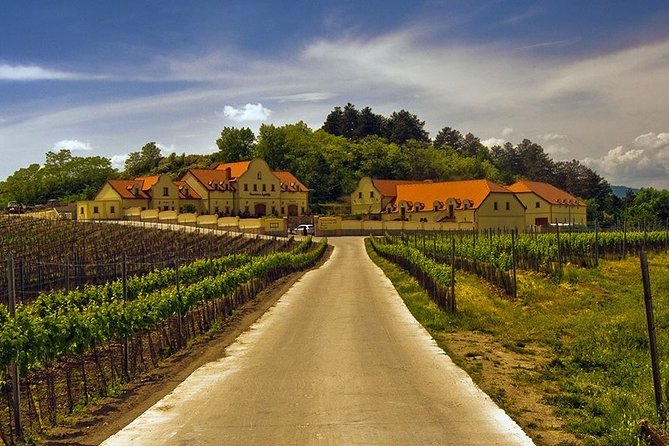 Private Tour to Lednice Castle and Chateau Valtice With Wine Tasting From Vienna - Cancellation Policy