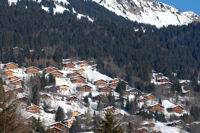 Private Tour to Les Diablerets and Montreux - Tour Highlights