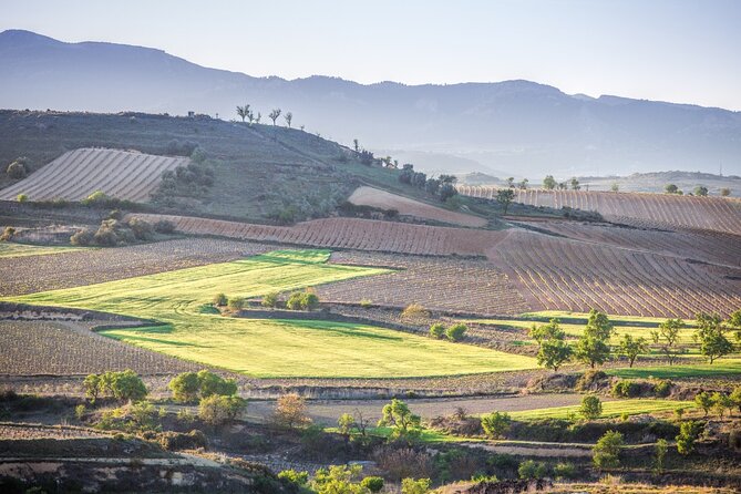 Private Tour to Logroño and Two Wineries From San Sebastian - Good To Know
