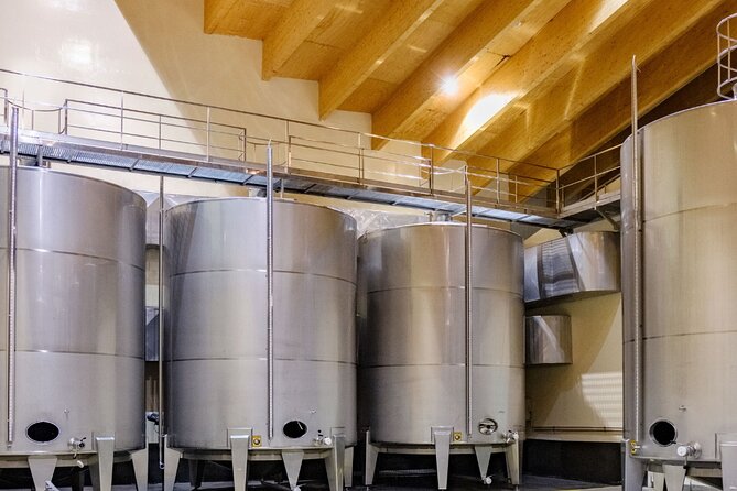 Private Tour to Logroño and Two Wineries From San Sebastian - Additional Details