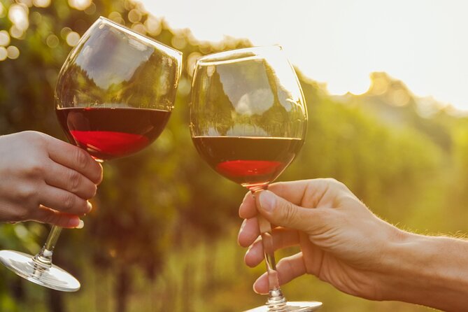 Private Tour to Logroño and Two Wineries From San Sebastian - COVID-19 Safety Measures