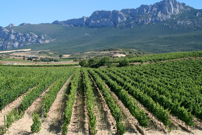 Private Tour to Logroño and Two Wineries From San Sebastian - Booking Recommendations