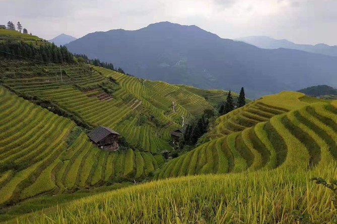 Private Tour to Longsheng Terrace&Long Hair Village From Guilin - Pricing and Booking