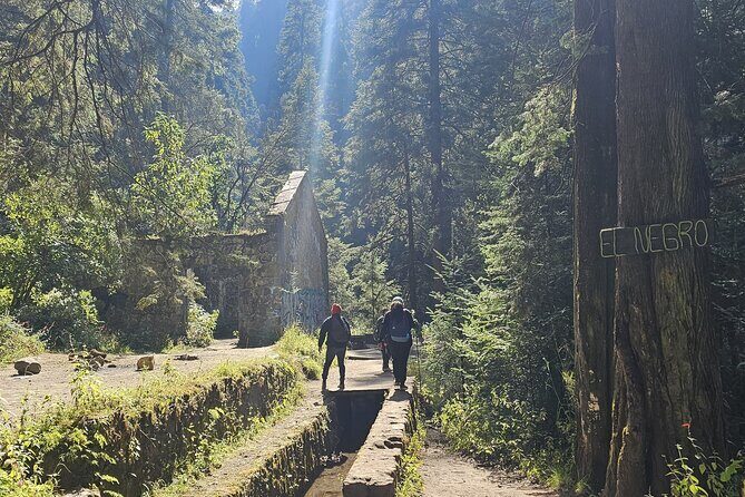 Private Tour to Los Diamantes Waterfall from CDMX - Detailed Experience: Transportation and Group Size