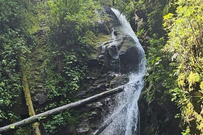 Private Tour to Los Diamantes Waterfall from CDMX - Value for Money: Is It Worth It?