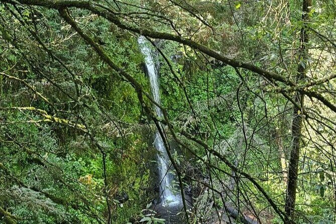 Private Tour to Los Diamantes Waterfall from CDMX - The Scenic Highlights: Nature’s Quiet Corner