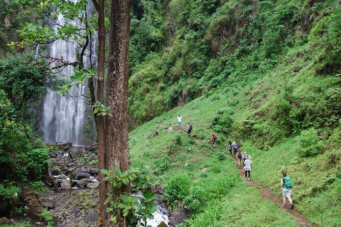 Private Tour to Materuni Waterfalls, Coffee Tour, Kikuletwa Hot Springs & Maasai - Good To Know