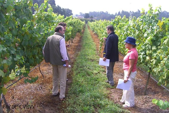 Private Tour to Melgaço and Monção, the Heart of the Alvarinho Region - Pricing and Booking Details