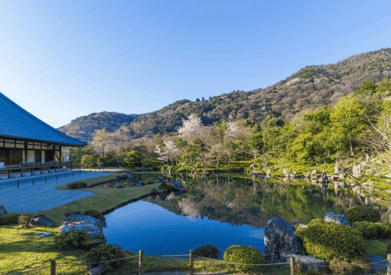 Private Tour to Monkey Park and Arashiyama Highlights - Practical Details and Tips