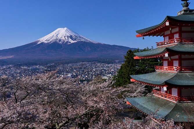 Private Tour to Mount Fuji With an English Driver From Tokyo - Inclusions and Exclusions