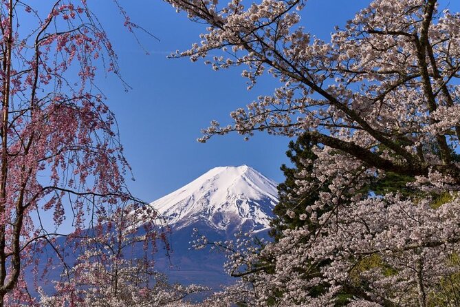 Private Tour to Mount Fuji With an English Driver From Tokyo - How to Reserve Your Spot