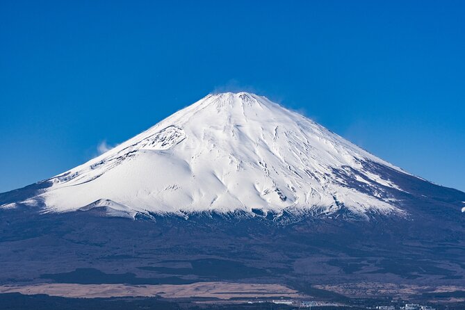 Private Tour to Mt Fuji, Lake Kawaguchi With Limousine and Driver - Tour Highlights