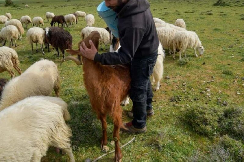 Private Tour to Myrtos Beach & Shepherd visit - Why This Tour Stands Out