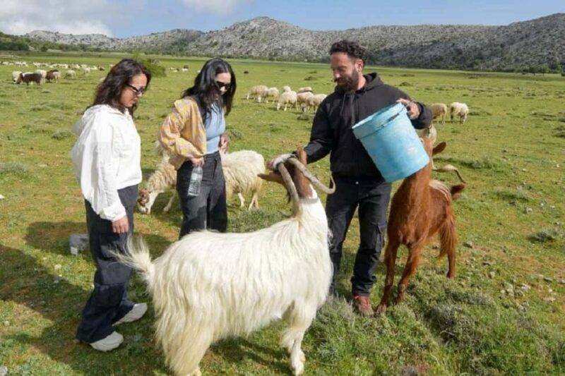 Private Tour to Myrtos Beach & Shepherd visit - Practical Details and Value