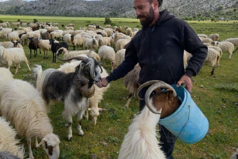 Private Tour to Myrtos Beach & Shepherd visit - Final Thoughts