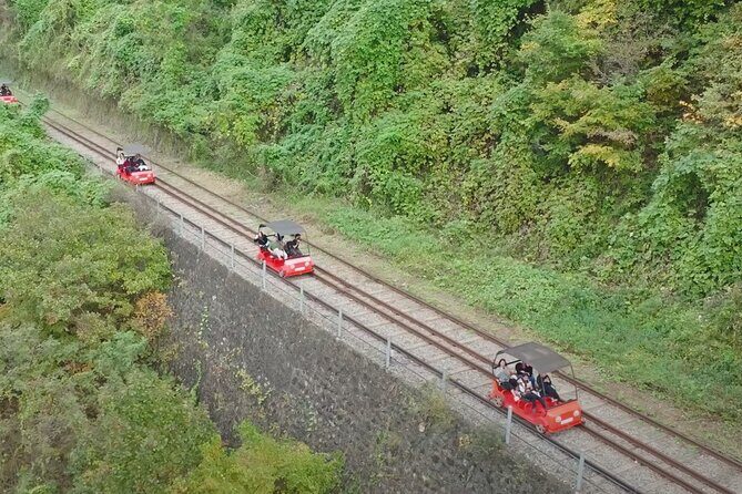 Private Tour to Nami Island Petite France and Railbike GyeongGang - What Travelers Say (Based on Reviews)