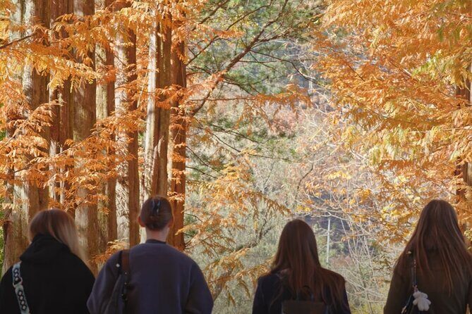 Private Tour to Nami Island Petite France and Railbike GyeongGang - Practical Details That Matter