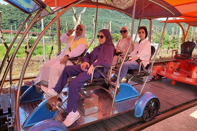 Private Tour to Nami Island Petite France and Railbike GyeongGang - FAQ