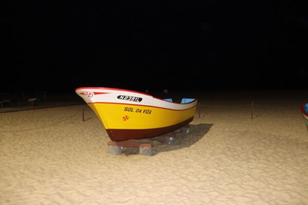 Private Tour to Nazaré & Alcobaça, Giant Waves and Monastery - The Sum Up