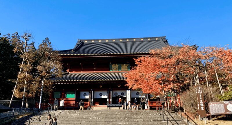 Private tour to Nikko with an Spanish-speaking Guide - What We Loved About the Tour