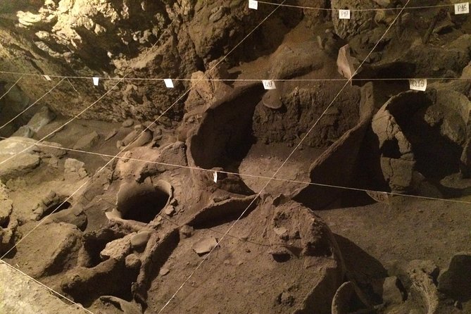 Private Tour to Noravank, Birds Cave, Khor Virab, Areni Winery - Additional Notes