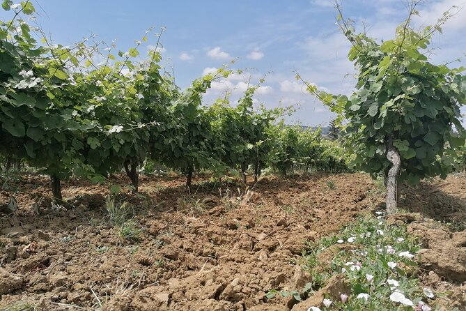 Private Tour to Obidos: Windmills, Vineyards and Flowery Villages From Lisbon - Pricing and Reservation Details