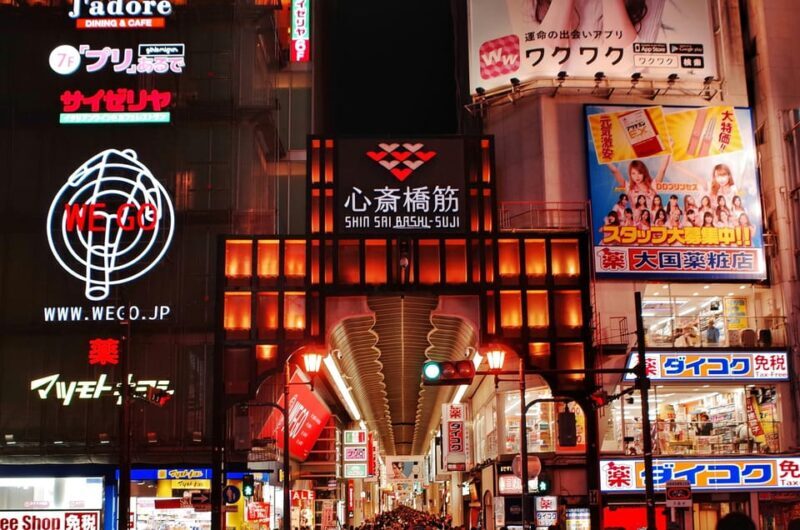 Private tour to Osaka&Kyoto&Nara(Pickup location selectable) - Who Should Consider This Tour?