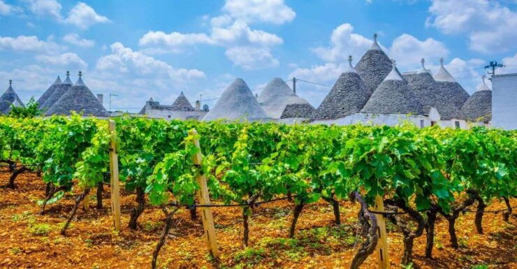 Private Tour to Ostuni, Alberobello, Locorotondo & Winery - Good To Know