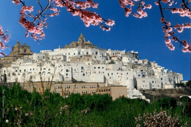Private Tour to Ostuni, Alberobello, Locorotondo & Winery - Highlights