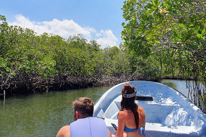 Private Tour to Paradise Island with Snorkel & Manatee Sanctuary - An In-Depth Look at the Experience