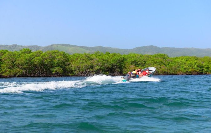 Private Tour to Paradise Island With Snorkel & Manatee Sanctuary - Tour Highlights