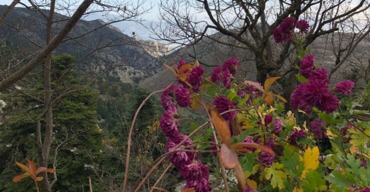 Private Tour To Parnitha and Mpafi Refuge Half Day - Activity Details