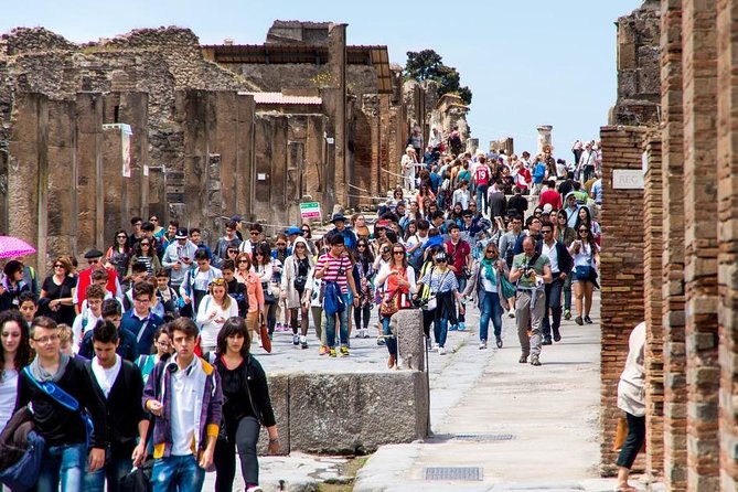 Private Tour to Pompeii Herculaneum and Vesuvius - Reviews and Ratings