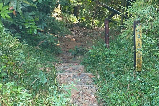 Private Tour to Pristine Swimming Hole In Puerto Rico Jungle - Tour Pricing and Booking Details