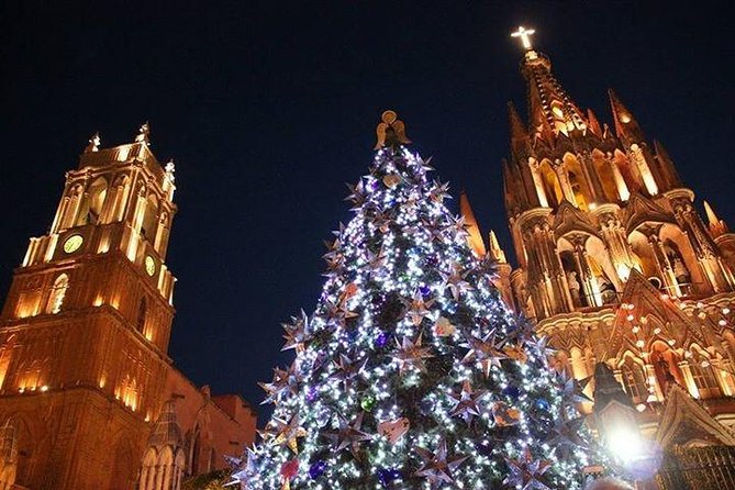 Private Tour to Queretaro and San Miguel De Allende Departing From Mexico City - Customer Satisfaction and Safe Driver