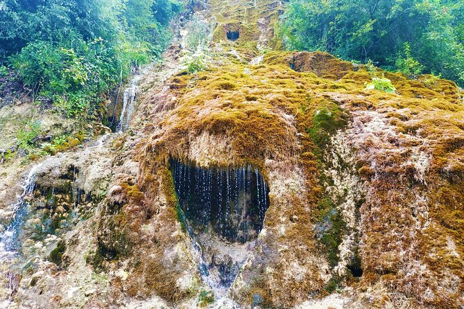 Private Tour to Racha From Tbilisi With Medieval Churches, Wine Tasting & Lunch - Included Amenities