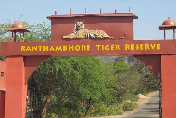 Private Tour to Ranthambore Tiger Reserve from Jaipur - When to Go: Timing & Seasons