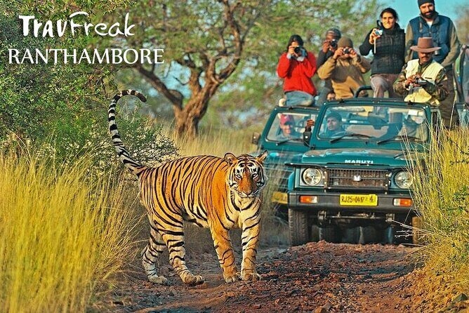 Private Tour to Ranthambore Tiger Reserve from Jaipur - Exploring the Private Tour to Ranthambore Tiger Reserve from Jaipur