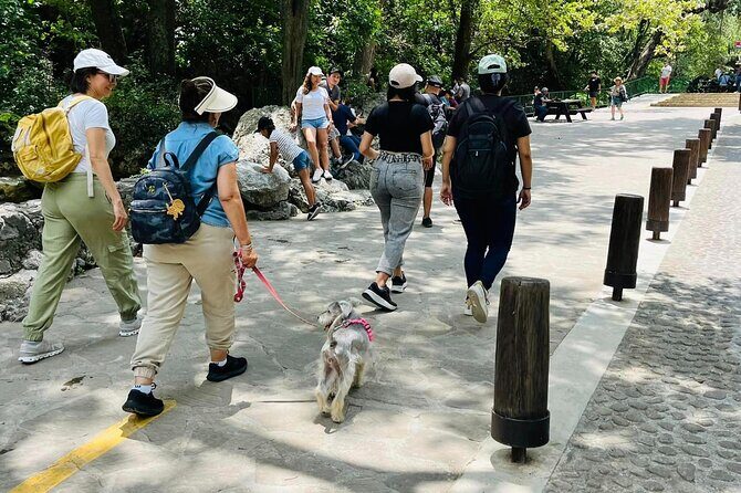 Private Tour to Santiago + Guide + Transfer - Final Thoughts