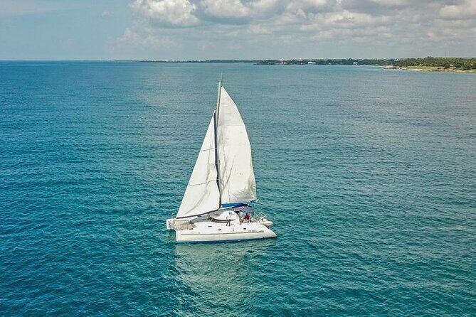 Private Tour to Saône Island - Detailed Breakdown of the Itinerary