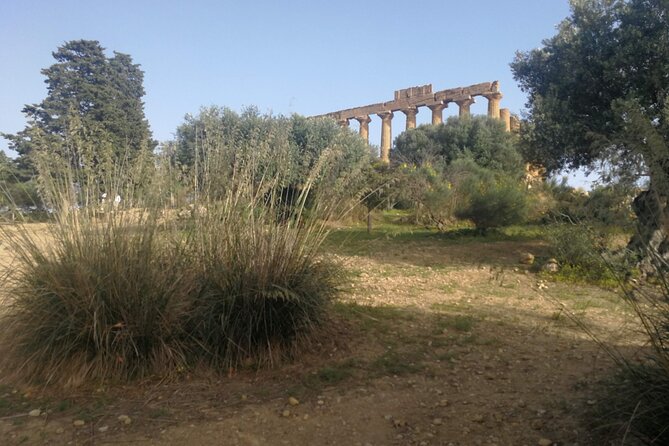 Private Tour to Segesta, Erice With Wine Tastings in Marsala - Inclusions