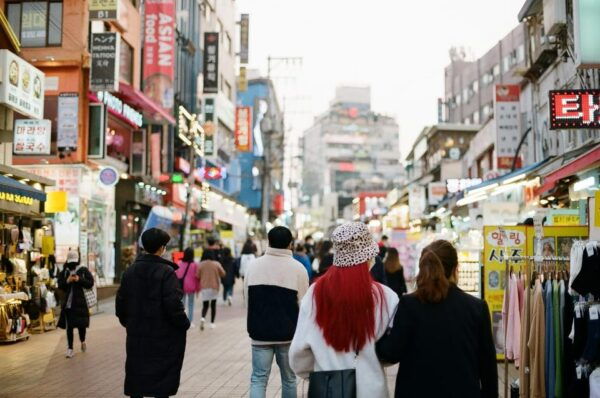 Private Tour to Seoul, Capital of All Possibilities - How to Book Your Tour