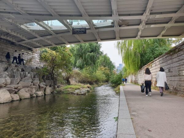 Private Tour to Seoul, Capital of All Possibilities - Questions You May Have